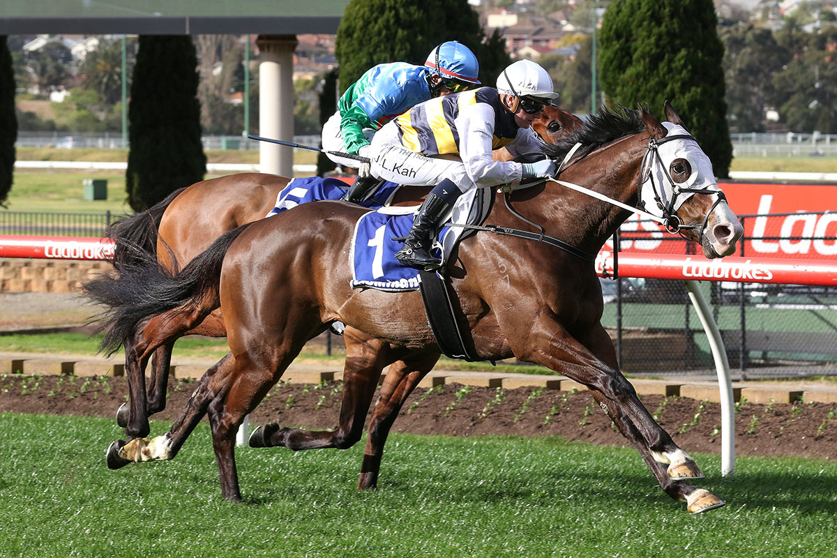 Im-Thunderstruck_31-07-2021_WIN_Moonee-Valley_5__912