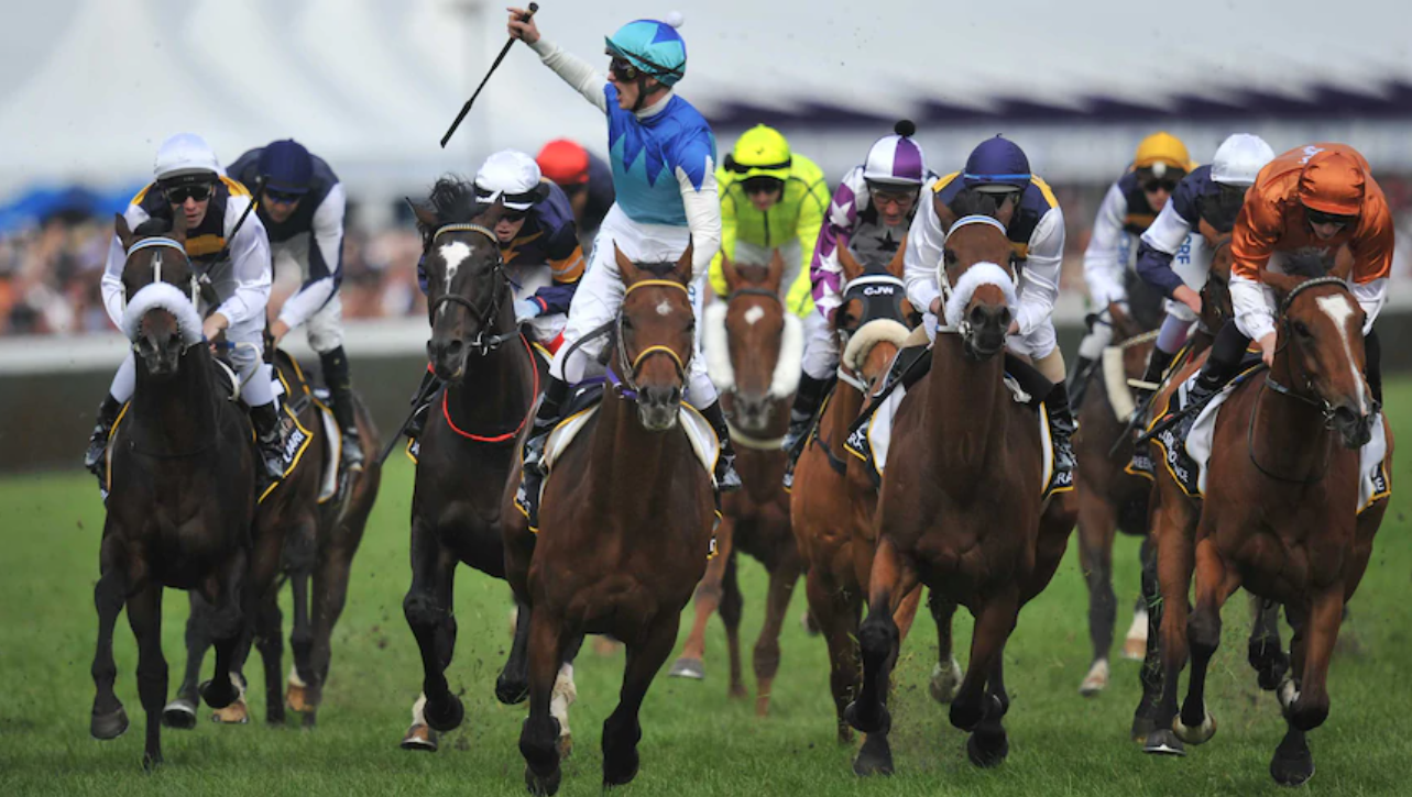 Caulfield Cup Information