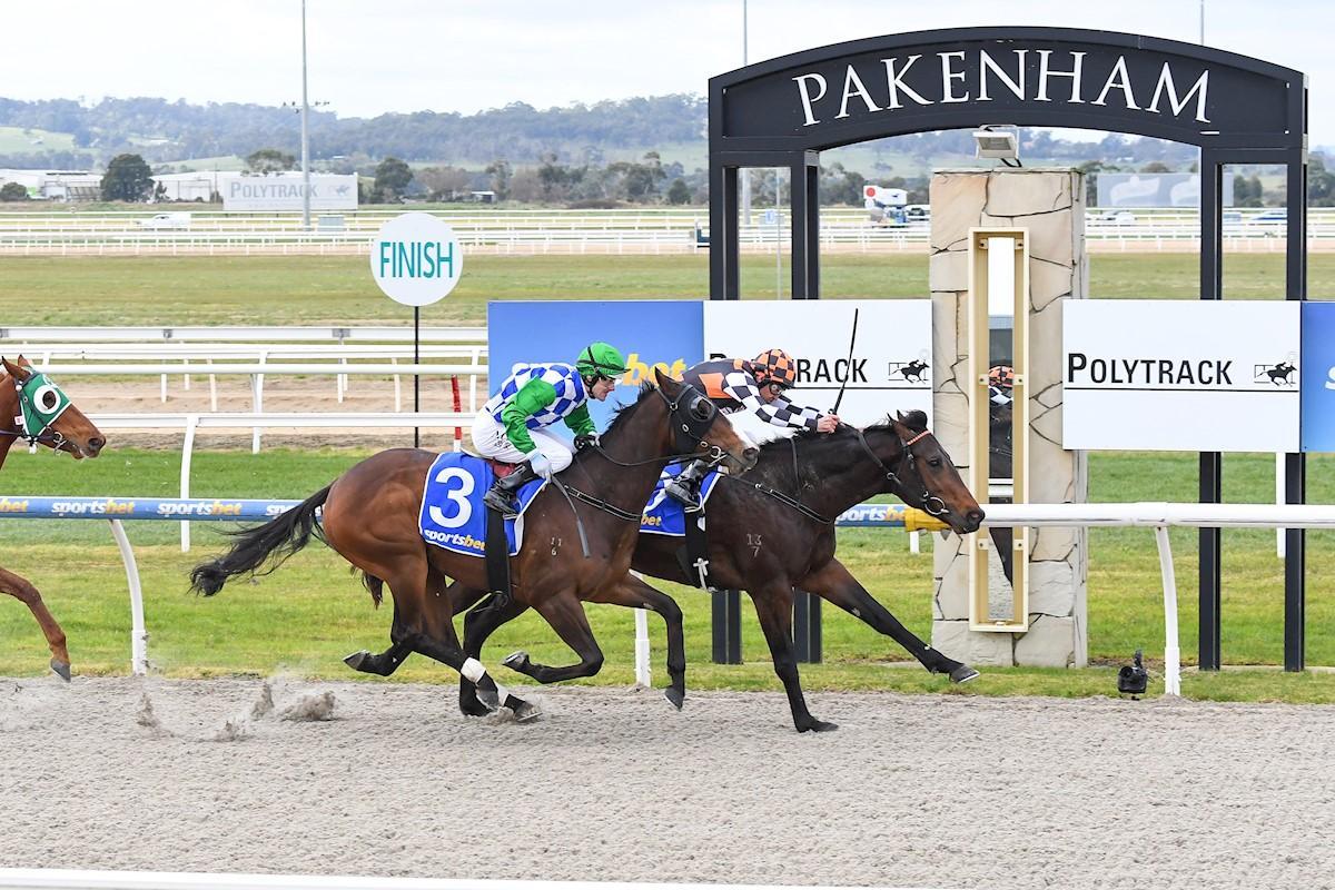 Pakenham Synthetic Racing Tips