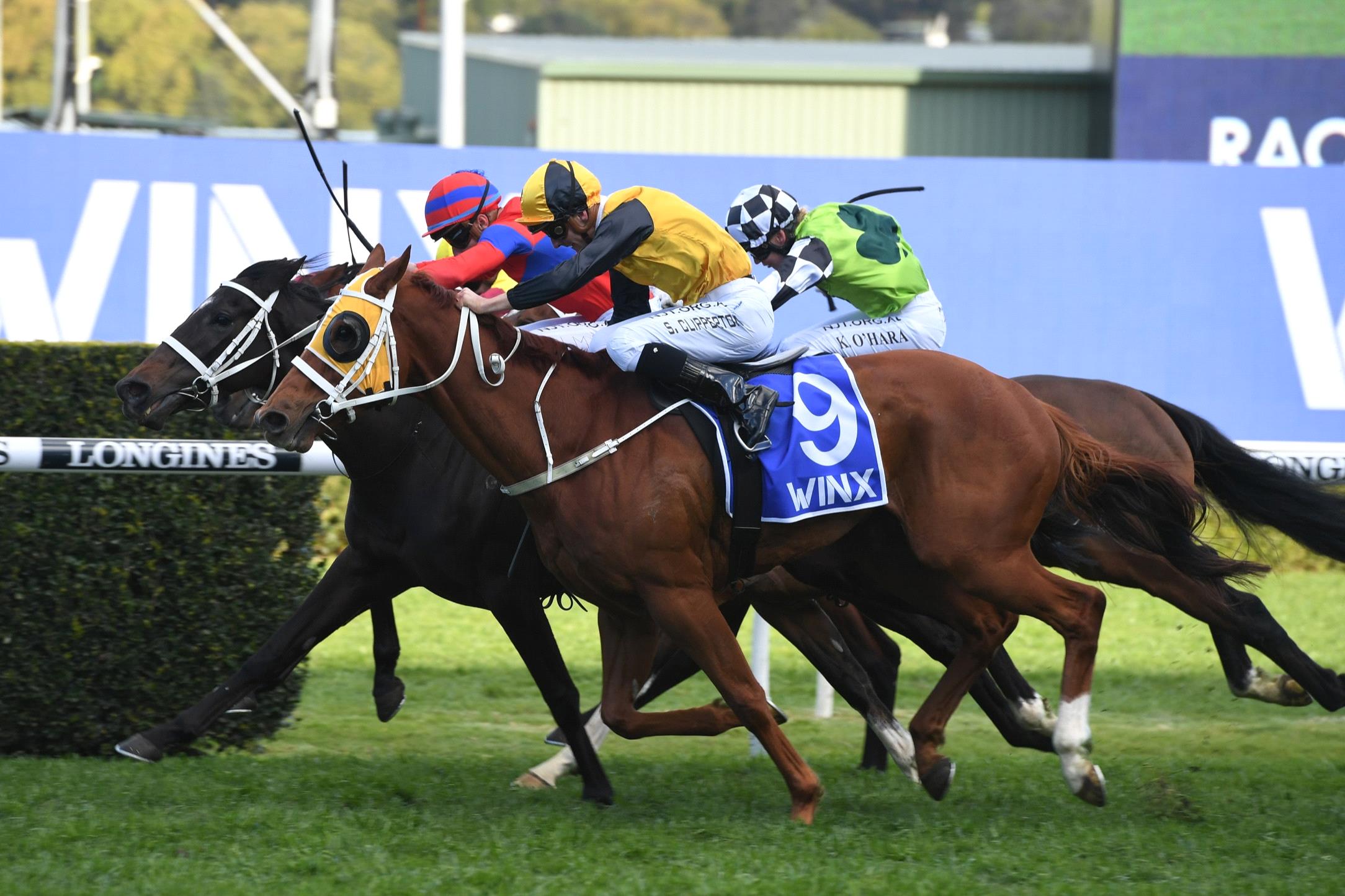 winx stakes randwick