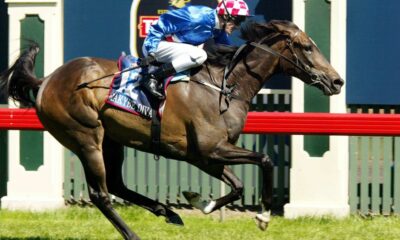 makybe diva