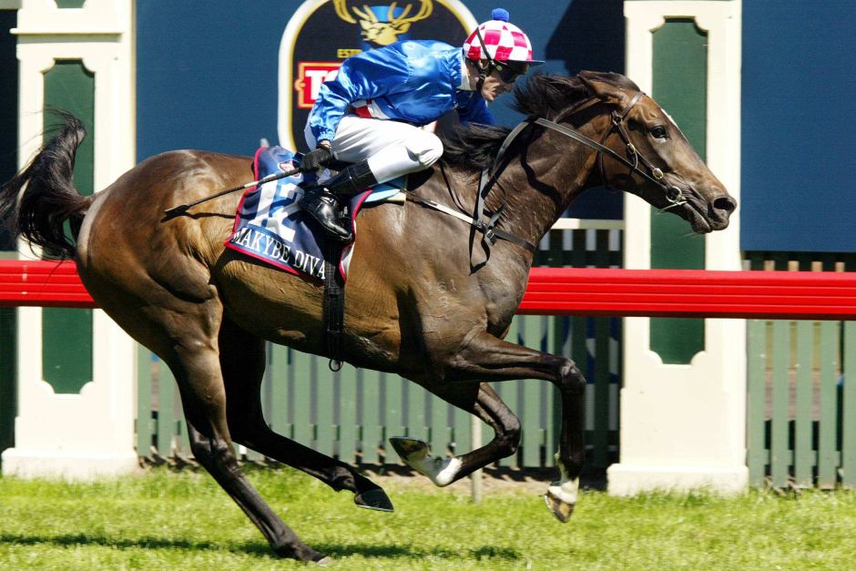 makybe diva