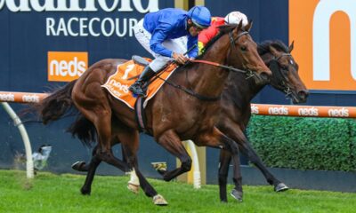 anamoe-caulfieldguineas