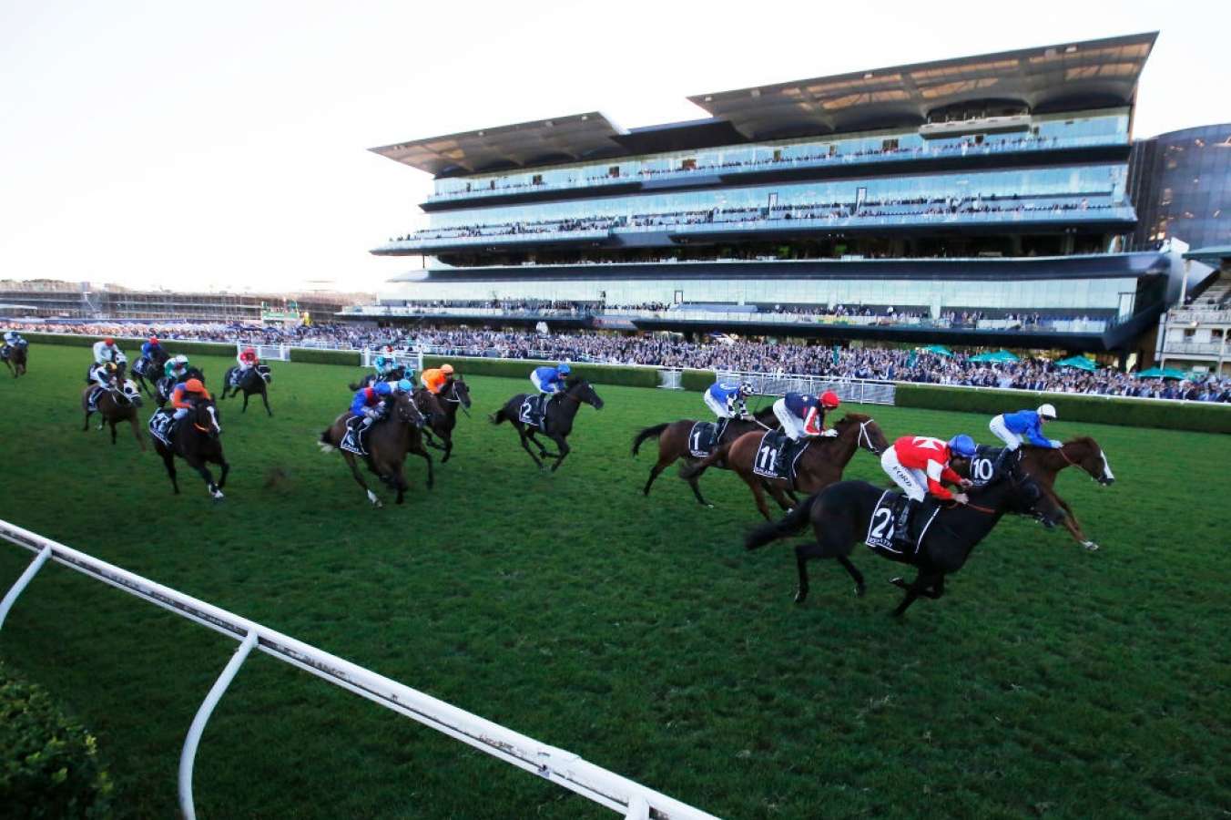 epsom handicap randwick