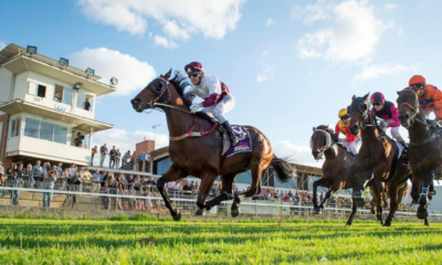 narrogin-racing-tips