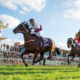 narrogin-racing-tips