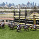 Melbourne Cup Day Flemington