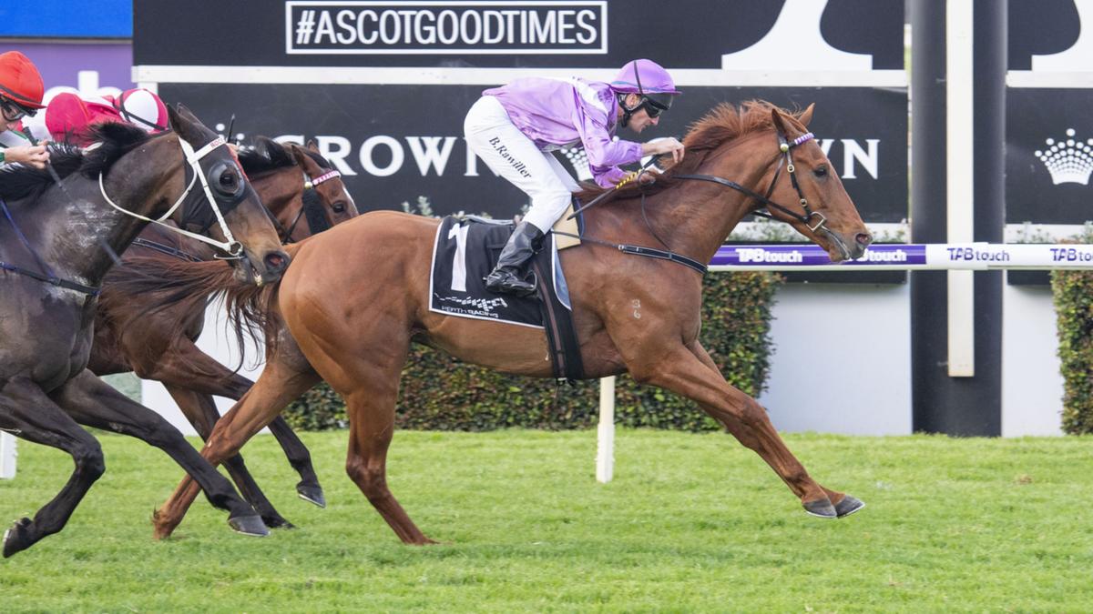 Elite Street Ascot