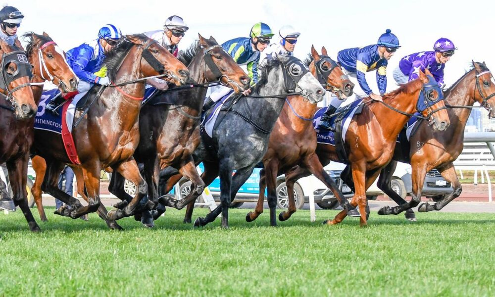 Horse Racing Glossary RacingBet