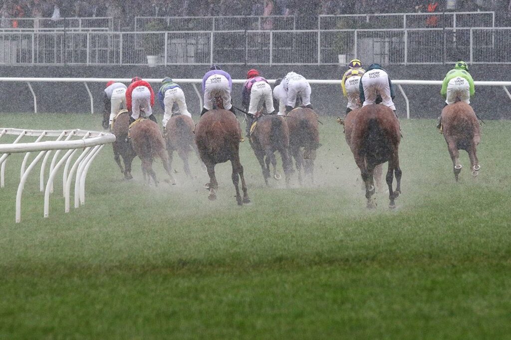 heavy track horse racing