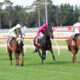 Racing Tips