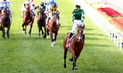 Via Sistina Cox Plate