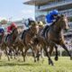 Golden Rose Stakes horse racing at Rosehill Gardens
