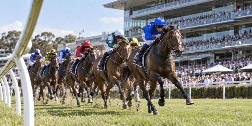2026 Golden Rose Tips, Odds & Betting Preview 2026 Golden Rose Tips, Odds & Betting Preview