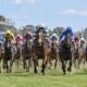 Sir Rupert Clarke Stakes field racing towards the camera at Caulfield