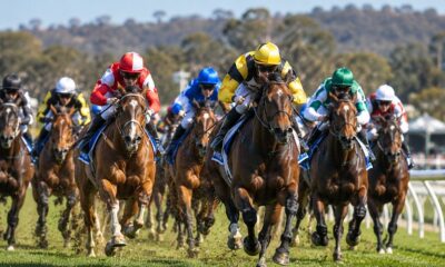 Bendigo Cup 2026