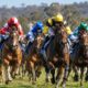 Bendigo Cup 2026