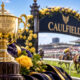 Caulfield Cup