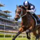 Caulfield Racing