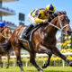 Caulfield Racing