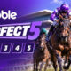 Dabble Perfect5