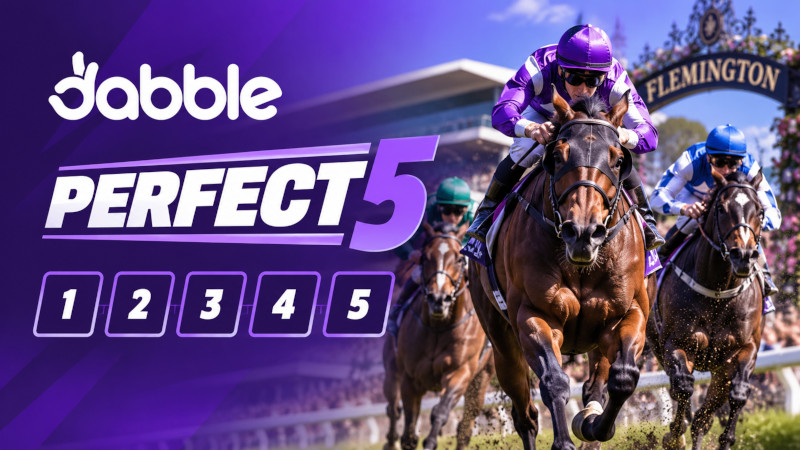 Dabble Perfect5