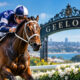 Geelong Cup