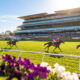 Randwick Racing