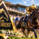 The Everest